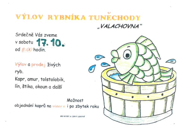 Výlov