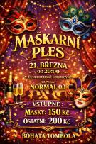 Maškarní ples SK Tuněchody 2